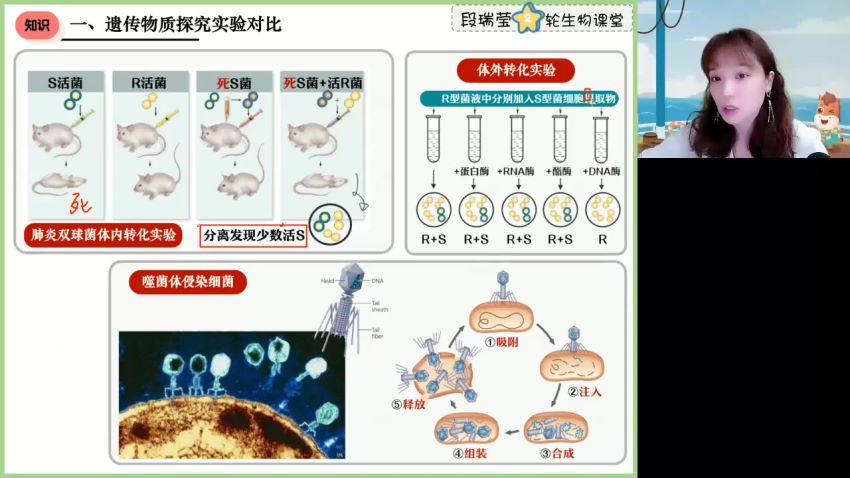 2023高三高途生物段瑞莹（箐英班）全年班，网盘下载(13.99G)