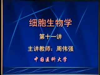 中国医科大学 细胞生物学 30讲 ，网盘下载(4.58G)