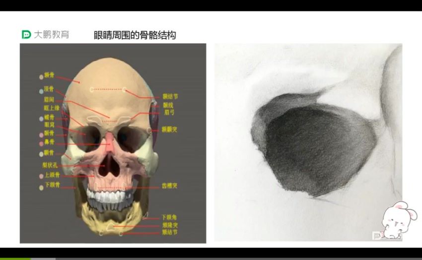 大鹏美术：大鹏素描，网盘下载(20.56G)