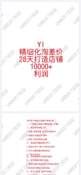 2021淘宝最新精细化淘差价课程，28天打造10+利润店铺，网盘下载(164.19M)