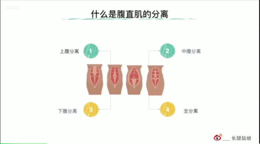 健身锻炼：缩腰攻略 腹直肌的核心修复，网盘下载(354.93M)