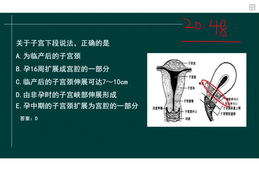 医学类：星恒教育2022临床执业（助理）医师，网盘下载(4.81G)