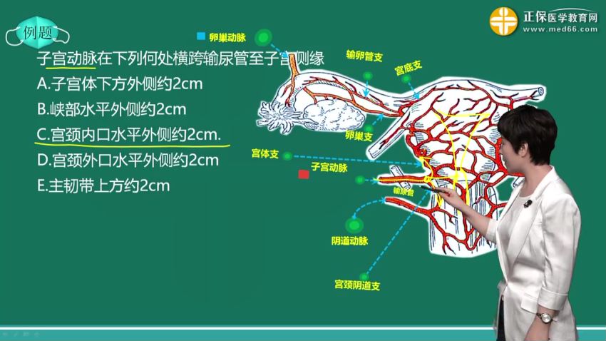 2021医学：21年妇产科主治医师，网盘下载(19.17G)