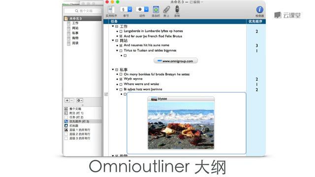 李长太 OmniPlan for Mac ，网盘下载(4.37G)