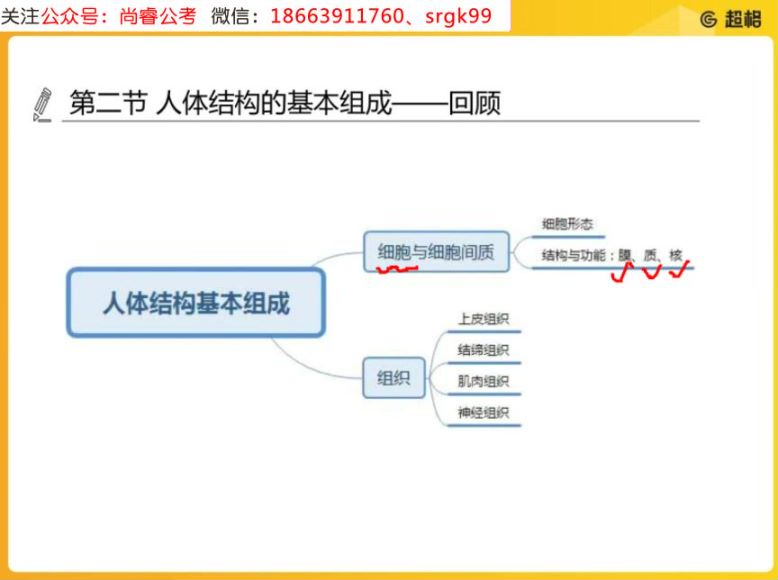 教师招聘考试：2022教招学科CG-体育，网盘下载(17.29G)