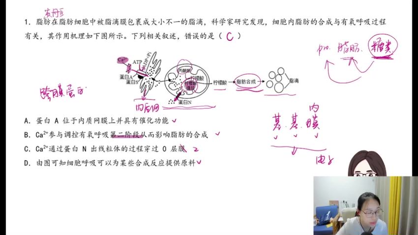 2023高三腾讯课堂生物周芳煜全年班，网盘下载(81.15G)