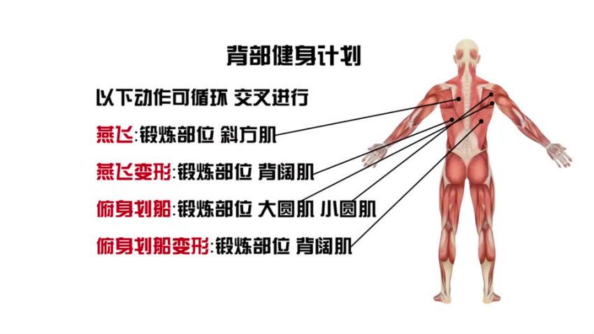 下班10分钟，在家轻松瘦十斤，网盘下载(871.60M)