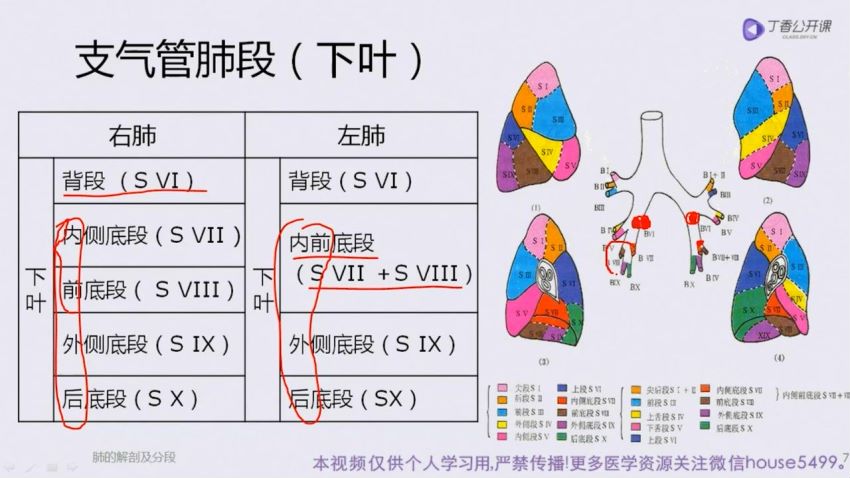 丁香园：付费课丨手把手教你读懂肺部 CT，网盘下载(12.95G)