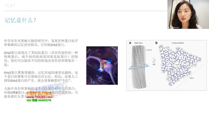 【姚乃琳】学习力认知力提升系列课，网盘下载(0.98G)