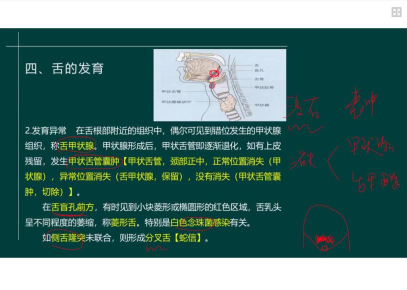 医学类：星恒教育2022口腔执业（助理）医师，网盘下载(5.69G)