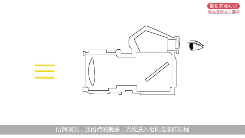 蚂蚁摄影 基础课，网盘下载(741.77M)